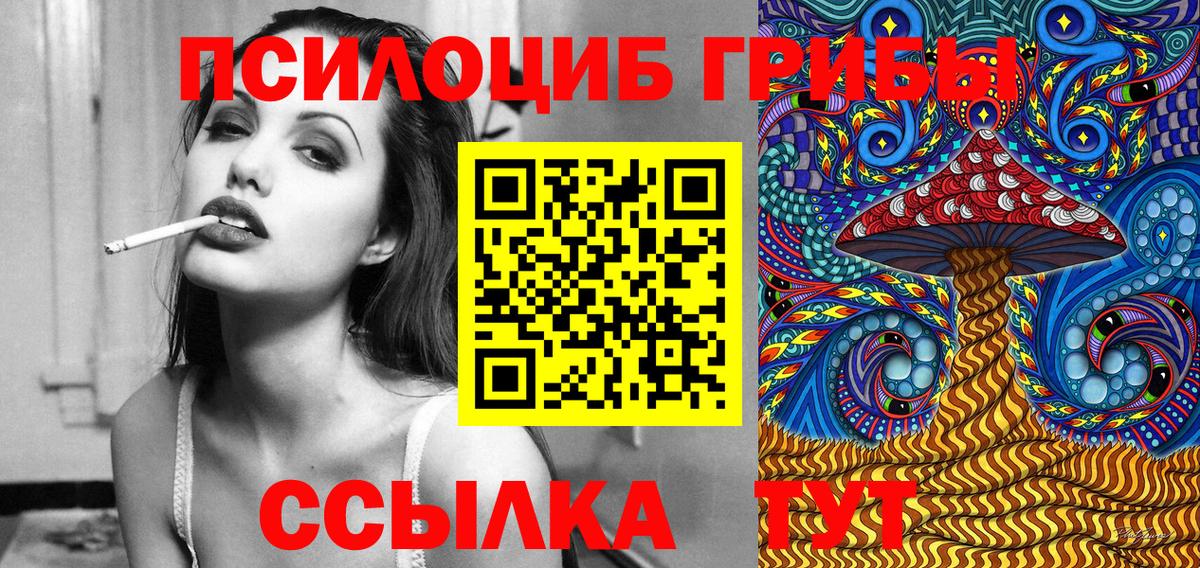 Галлюциногенные грибы Psilocybe Архангельск